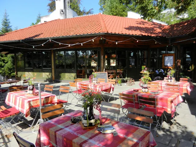 Pflugkeller Biberach