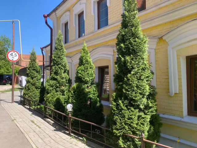 Kot Na Kryshe Khostel