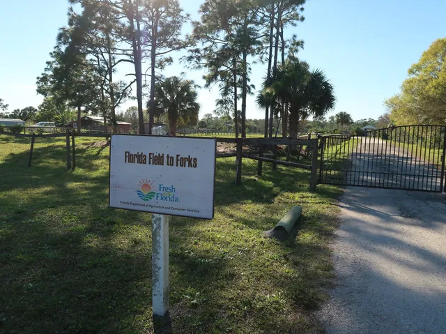 Florida Fields to Forks csa