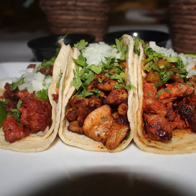 Metate Authentic Mexican Restaurant Dobbs Ferry