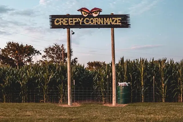 The Corn Maze at Yesterland Farm