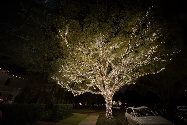 Park Cities Christmas Lights