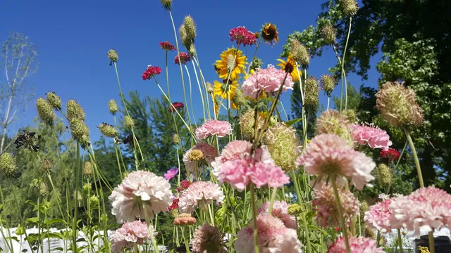 Biologic Crop Solutions