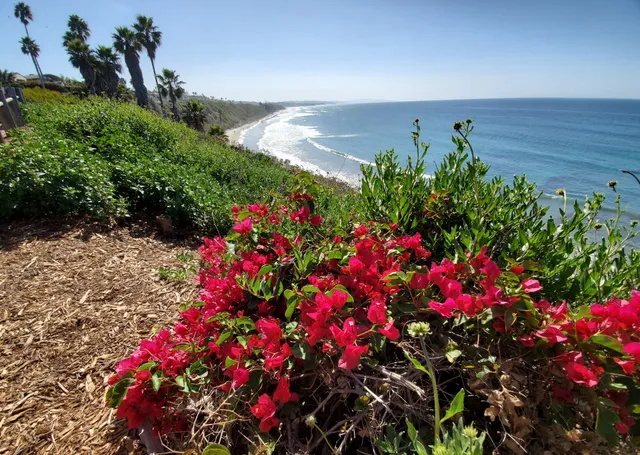 Sea Cliff County Park