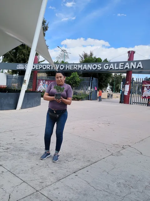 Deportivo Hermanos Galeana