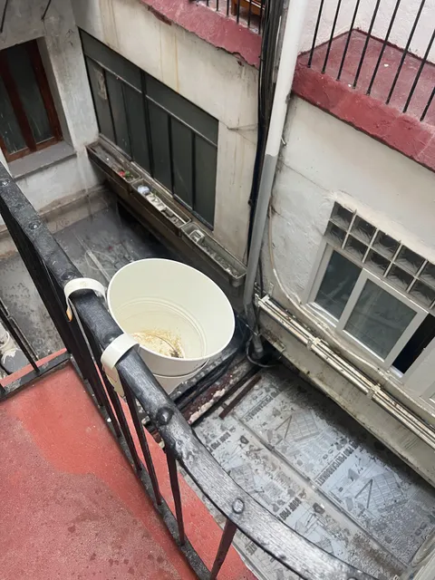 Total Valencia Vintage