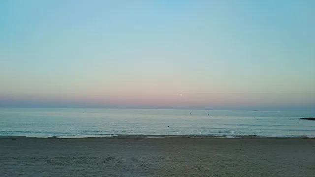 Palm Beach Orange Costa