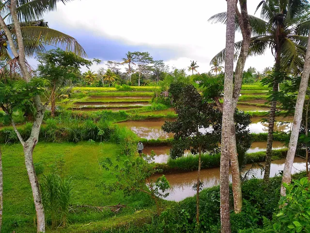 The Bridge Restaurant