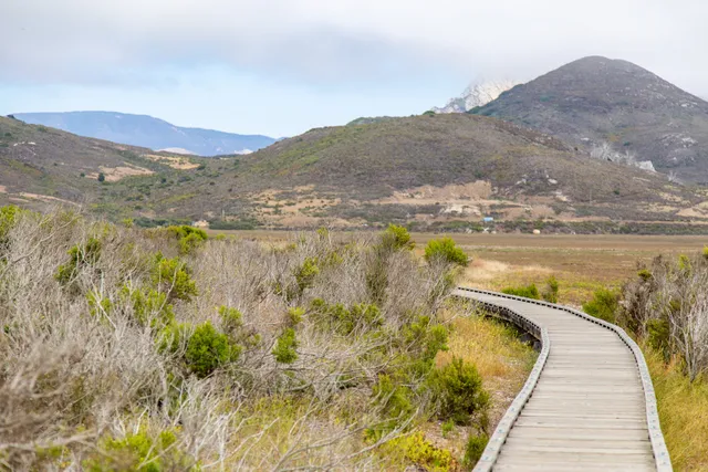 Marina Peninsula Trail Head