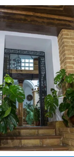 Casa turistica patio cordobés