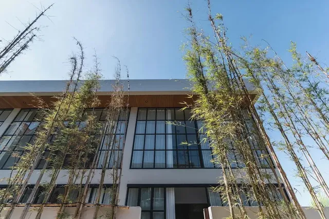 Surf Lofts by Alfred in Bali