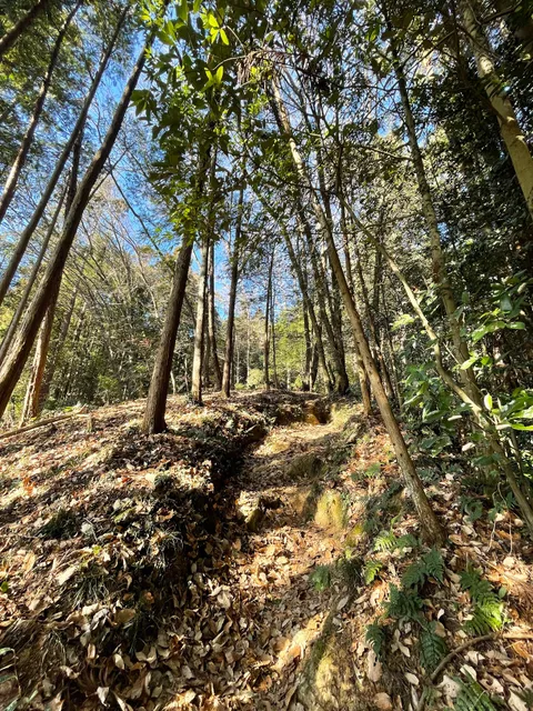 Mount Hiwada Trailhead (Hinata Entrance)