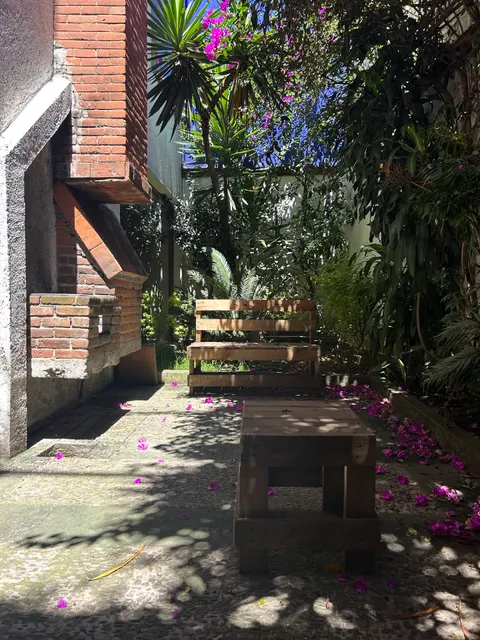 Casa Frida Coyoacan