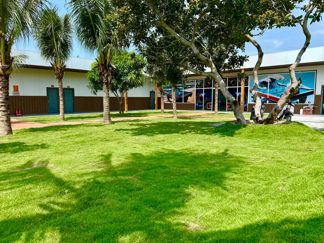 Cây Phượng Guest House