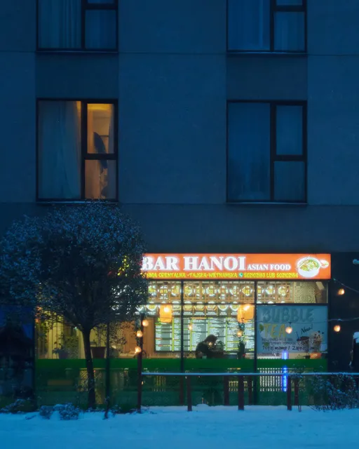 Bar Hanoi Asian Food