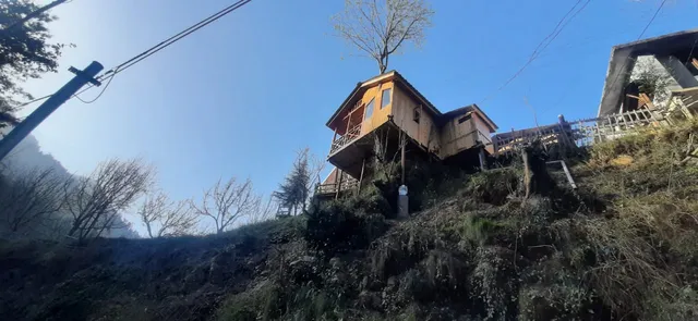 The tree house ghiyagi