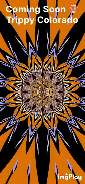 Mile High Magic Shrooms