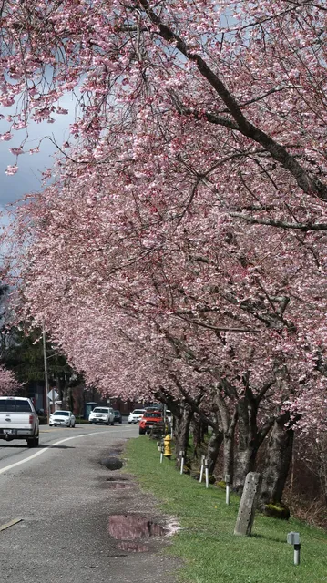 Olive Taylor Quigley Park