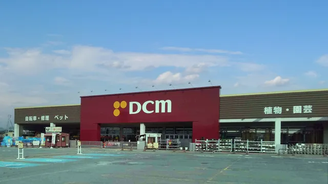 DCM