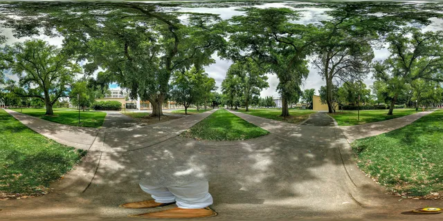 College of Agricultural and Environmental Sciences