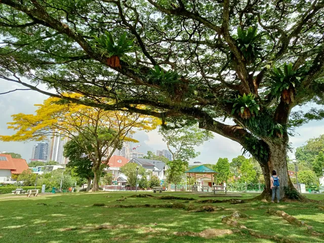 Sunset Way Playground