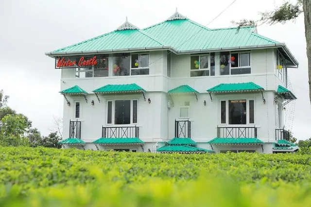 Lumino Winter Castle