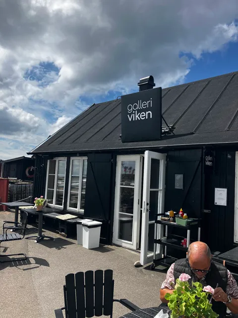Galleri Viken