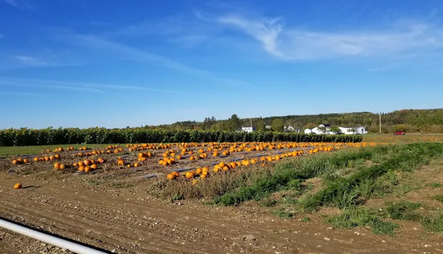 Goughan's Berry Farm