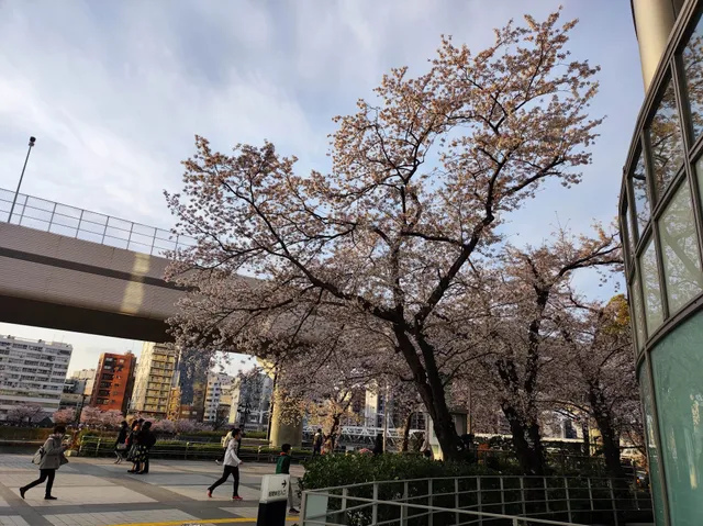 Sumida Riverside Hall