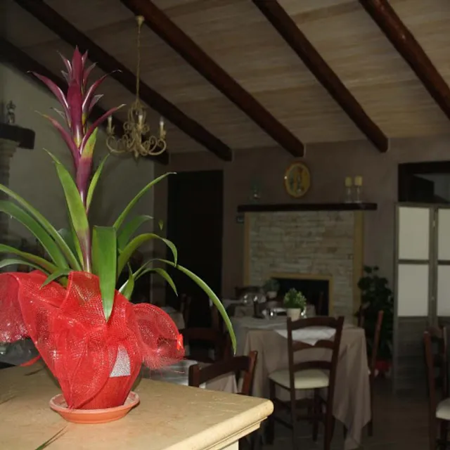 Buonanotte Resort - Agriturismo