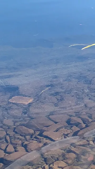 ABARTA Coca-Cola Beverages