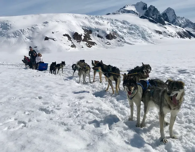 Alaska Icefield Expeditions - Glacier Dogsledding Tours
