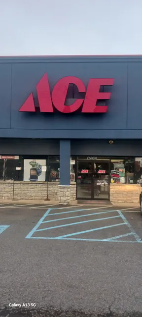 Ace Hardware of Lookout