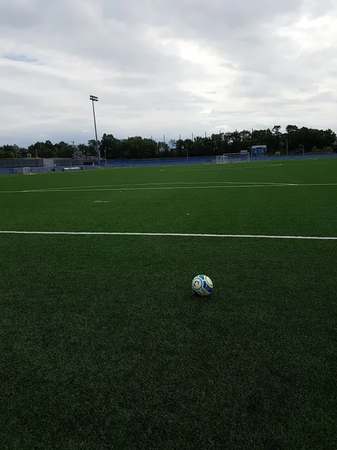 Naimoli Family Baseball Complex