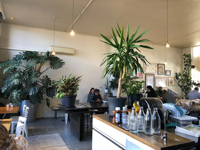 Vanguard Specialty Coffee Co