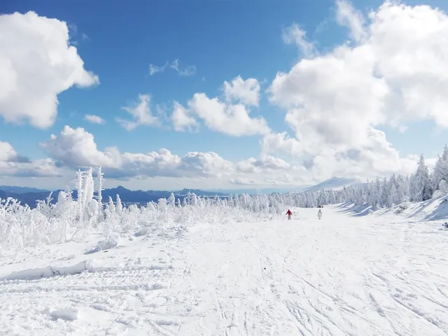 Palcall Tsumagoi Resort Hotel & Ski area