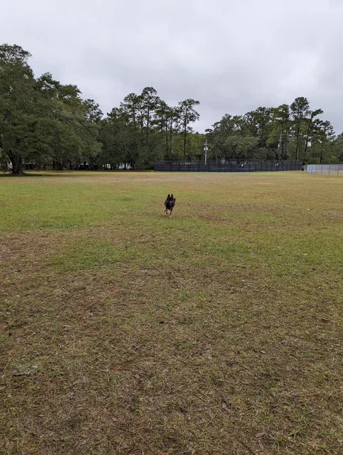 Walter Anderson Memorial Park