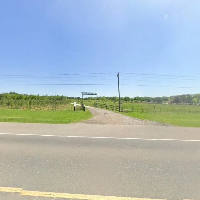 Beautiful shade tree farm