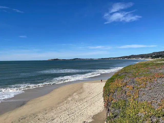 Dunes Beach - Half Moon Bay State Beach