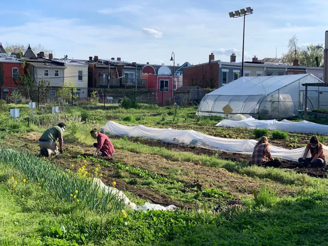 Common Good City Farm
