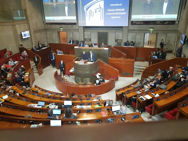 Conseil Économique Social et Environnemental (CESE)