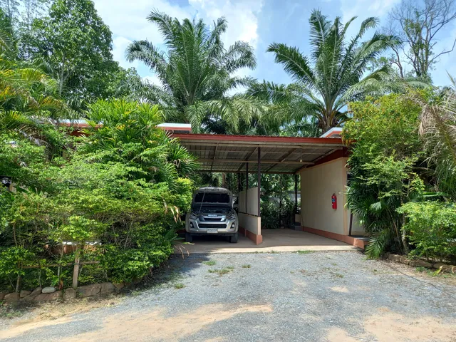 ปางก่อ รีสอร์ท