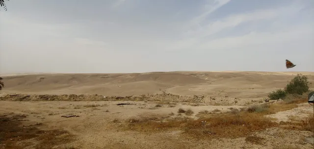 Svetlana Arad Apartment