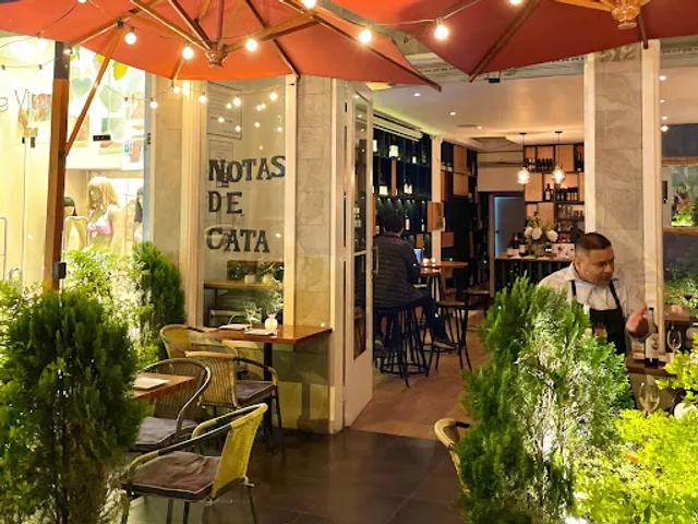 Notas de Cata - Winebar