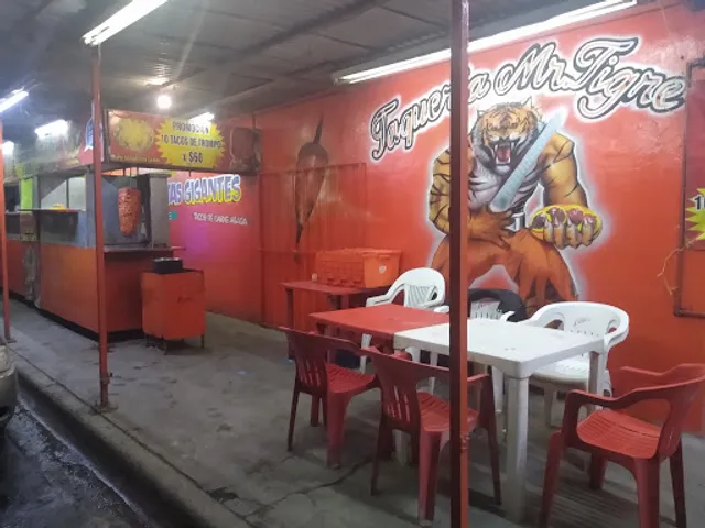 Taquería Mr. Tigre