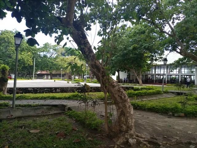 TASUBA College of Arts