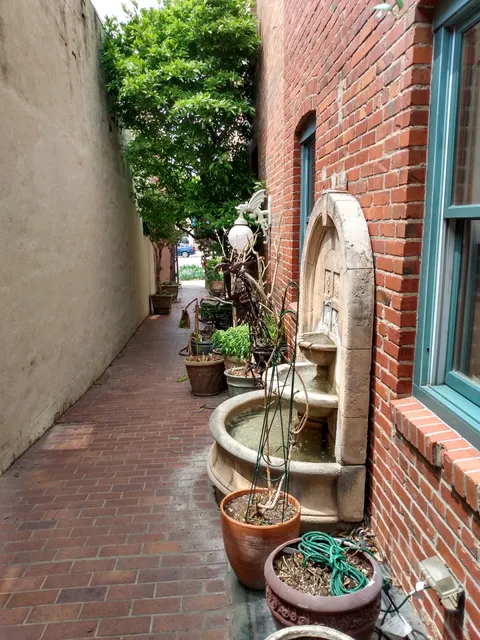 Gallery 9 Professional Artist