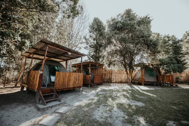 Storms River Forest Lodge