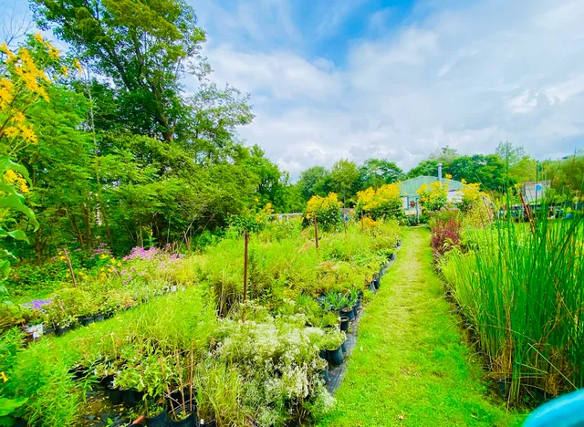 Avonlea Gardens & Inn