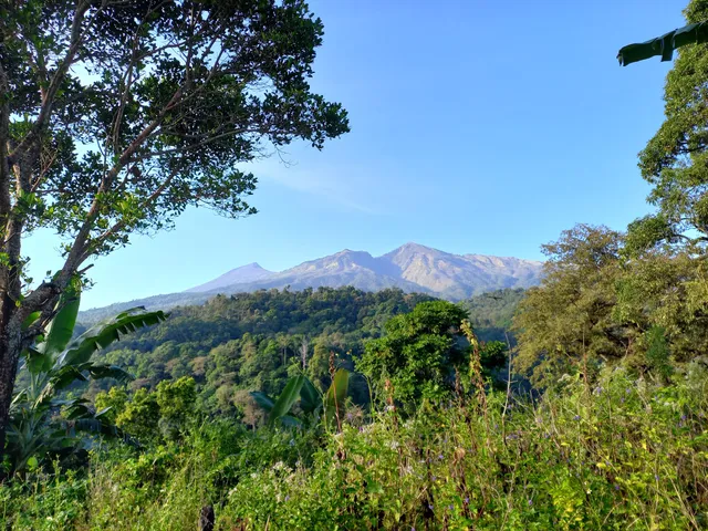 Dhyns Rinjani Hiking - Trekking Tour Organizer